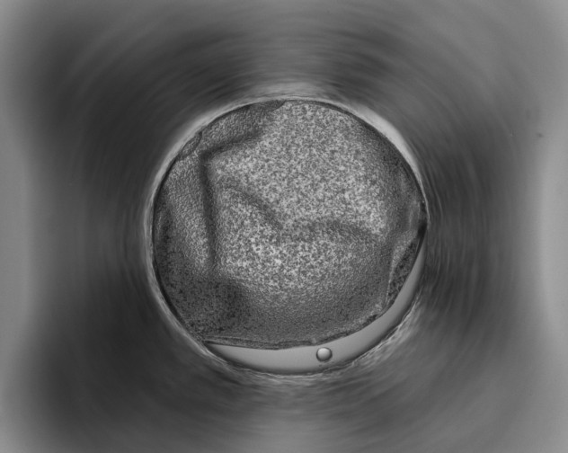 X0000096211389200802151453