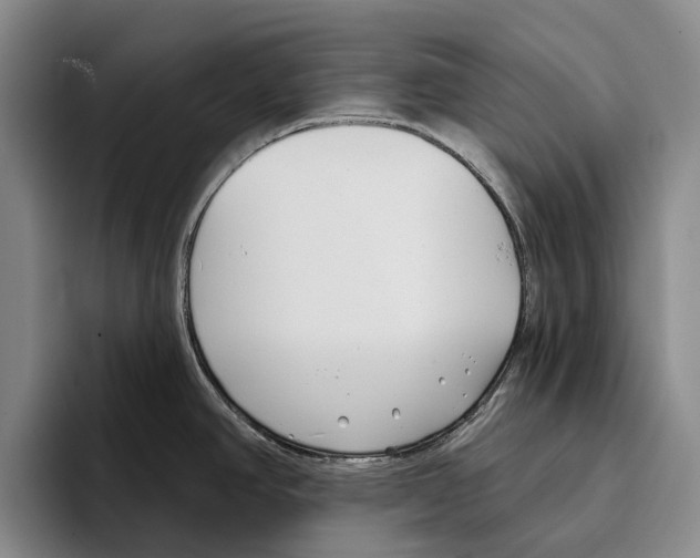 X0000096211390200802151453