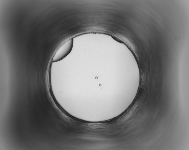 X0000096211391200802151453