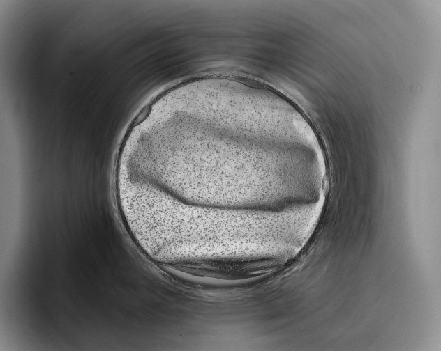 X0000096211392200802151453