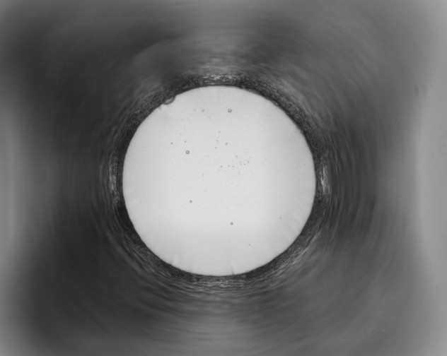 X0000096211396200802151452