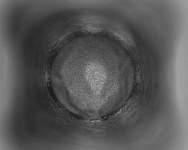 X0000096211397200802151452