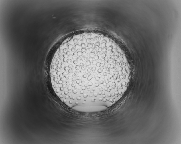 X0000096211400200802151452