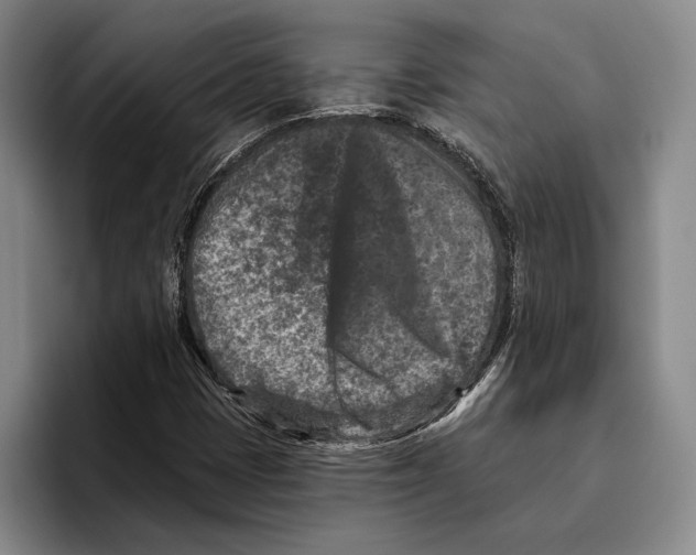 X0000096211401200802151452