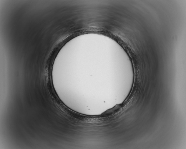 X0000096211402200802151452