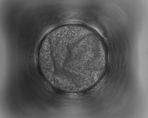 X0000096211405200802151452