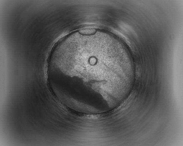 X0000096211411200802151453