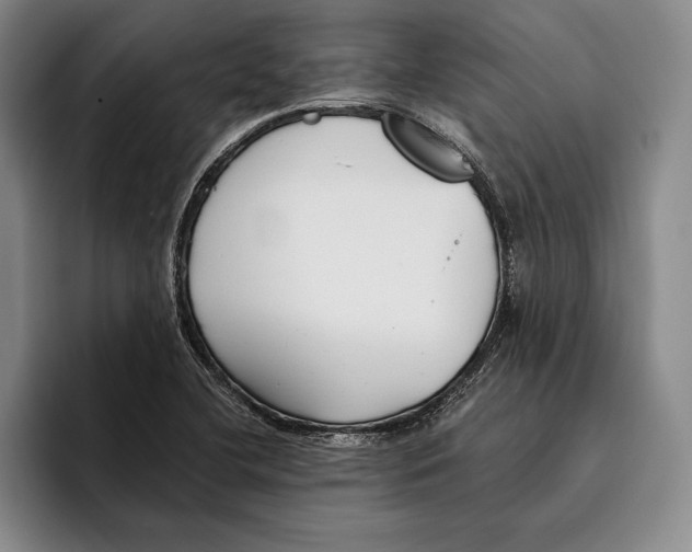 X0000096211412200802151453