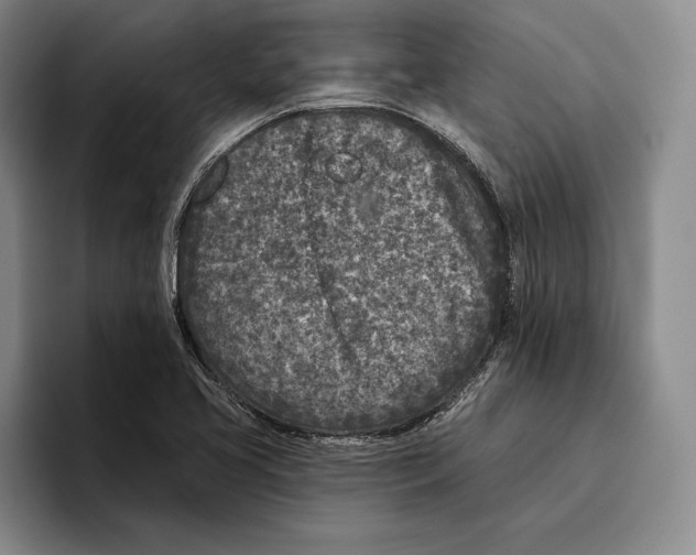 X0000096211413200802151453