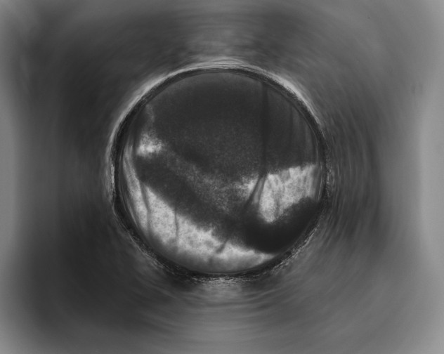 X0000096211414200802151453