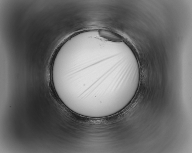 X0000096211415200802151453