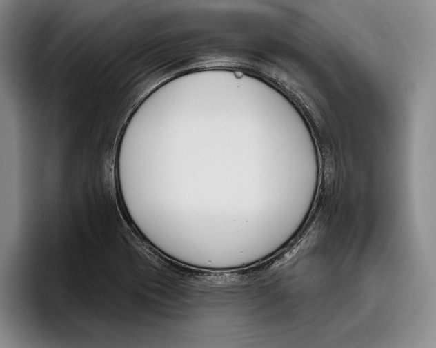 X0000096211417200802151453