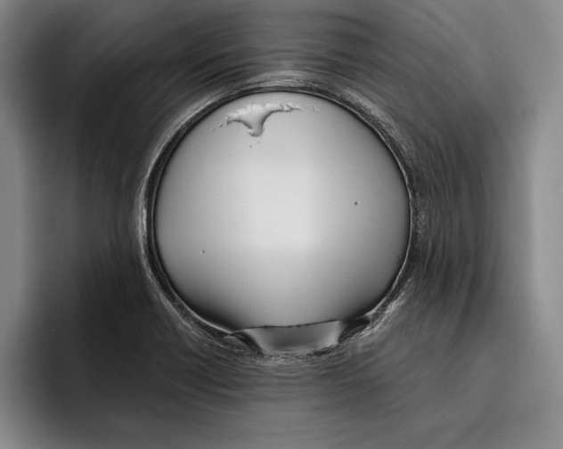 X0000096211418200802151453