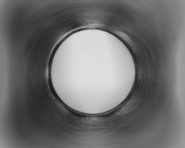 X0000096211420200802151453