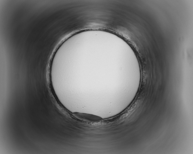 X0000096211421200802151453