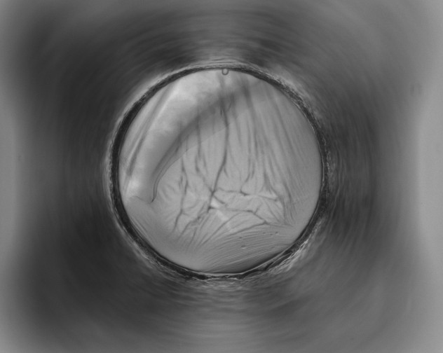 X0000096211422200802151453