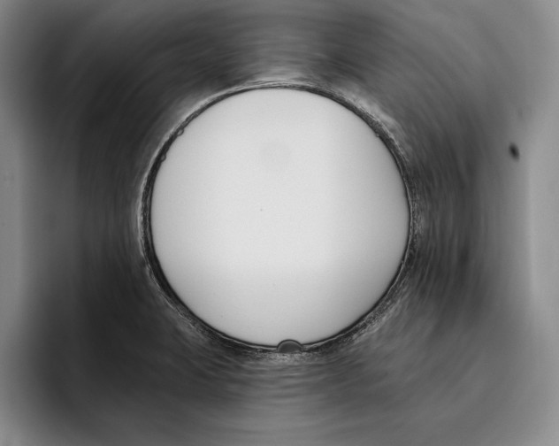 X0000096211423200802151453