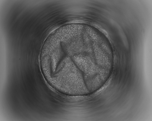 X0000096211425200802151453