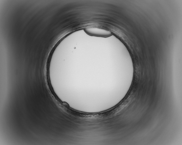 X0000096211426200802151453