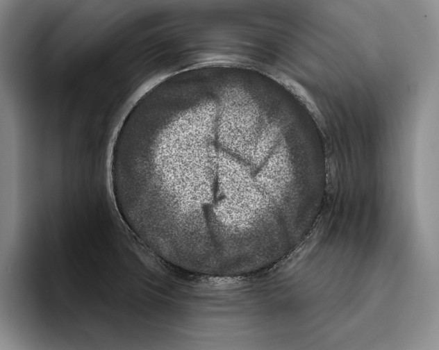 X0000096211427200802151453