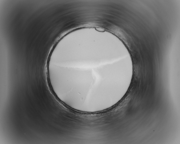 X0000096211428200802151453