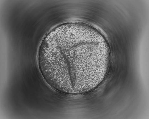 X0000096211429200802151453