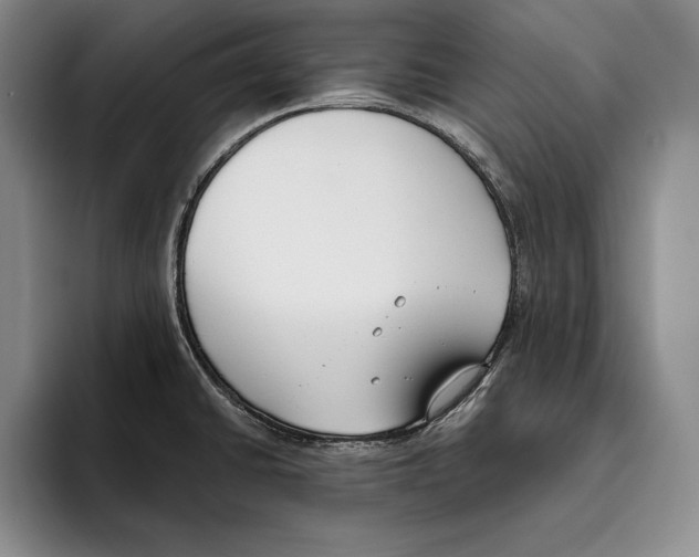 X0000096211430200802151453