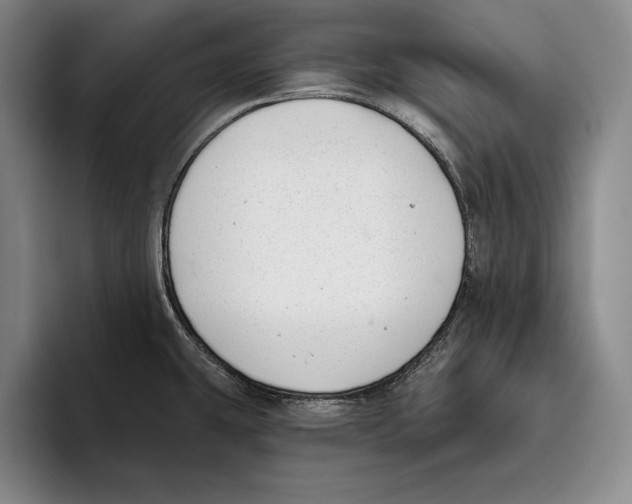 X0000096211431200802151453