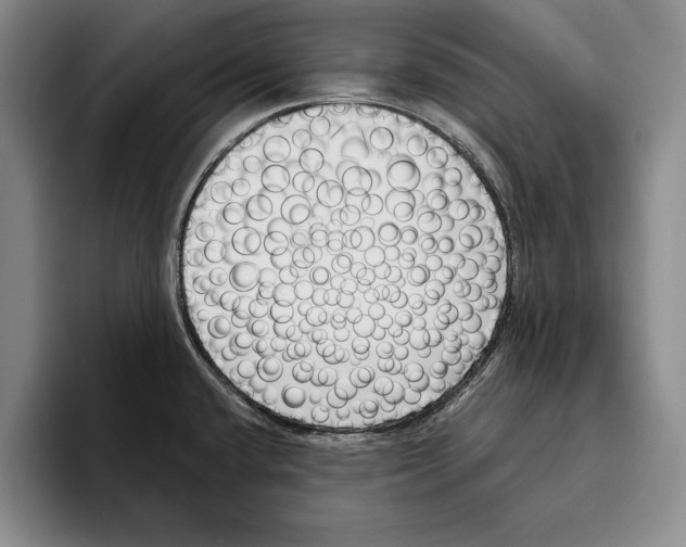 X0000096211432200802151453