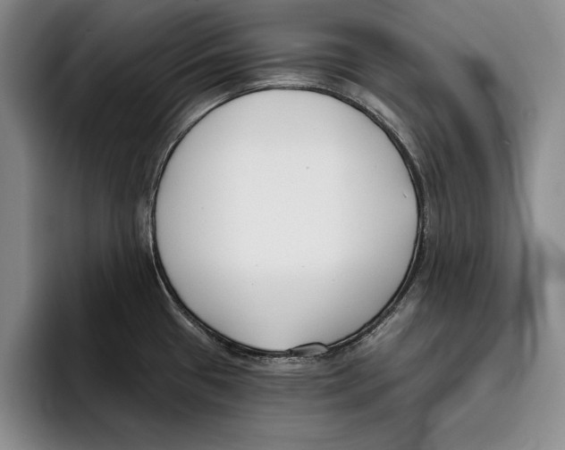 X0000096211433200802151453