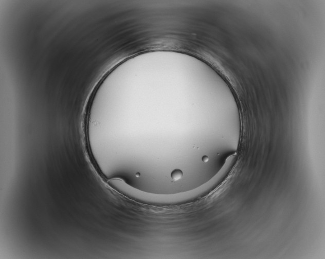 X0000096211434200802151453