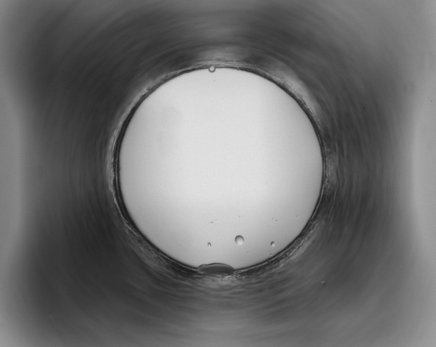 X0000096211435200802151453