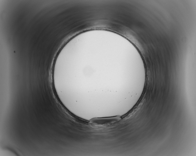 X0000096211436200802151453