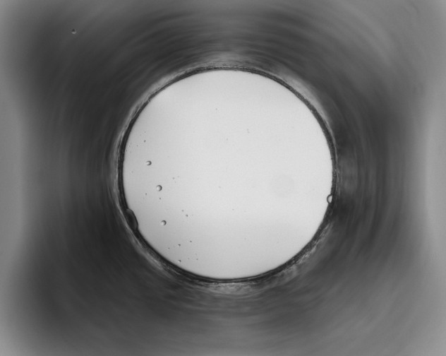 X0000096211437200802151453