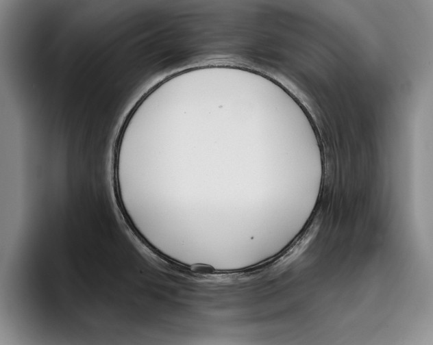 X0000096211438200802151453