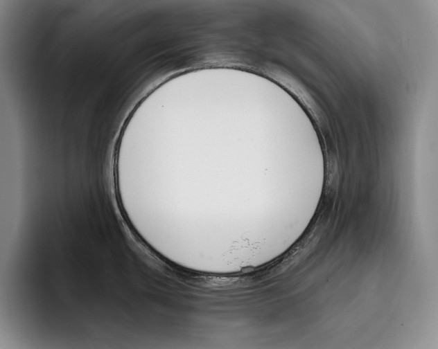 X0000096211439200802151453