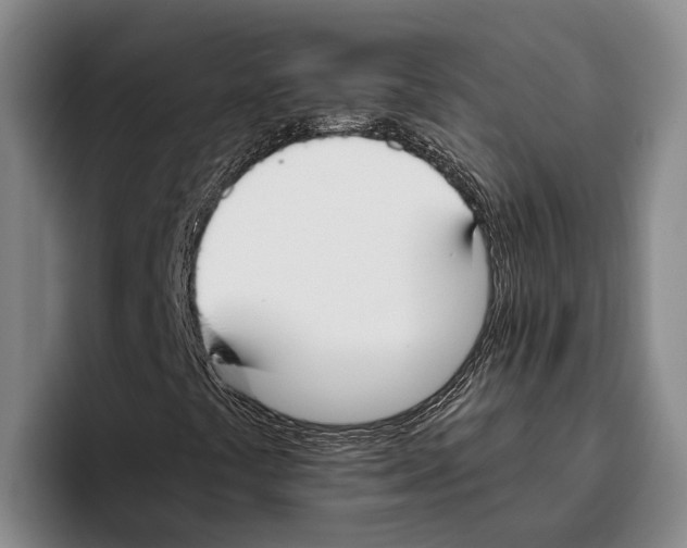 X0000096211441200802151452