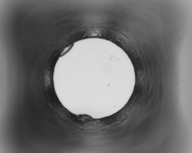 X0000096211442200802151452