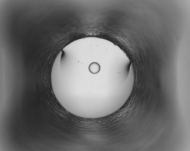 X0000096211444200802151452