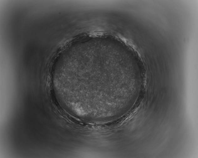 X0000096211445200802151452