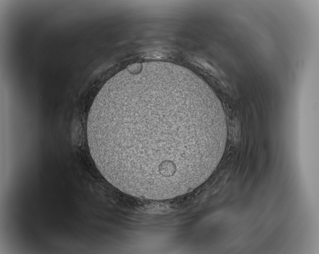 X0000096211446200802151452