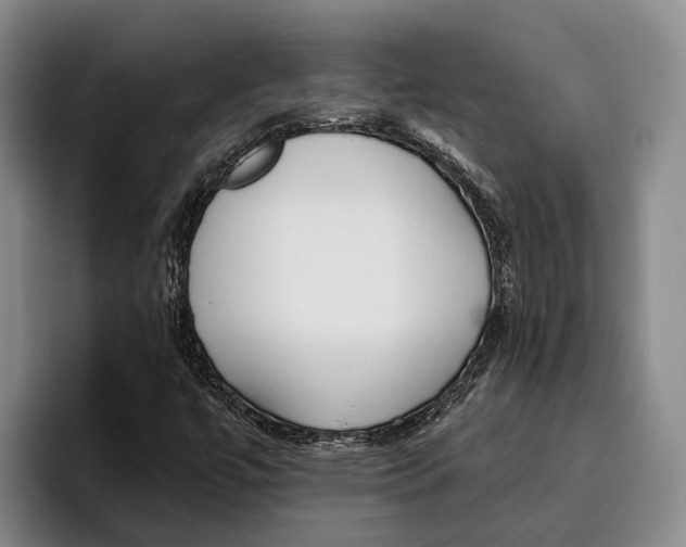 X0000096211447200802151452