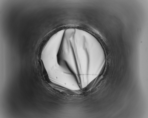 X0000096211448200802151452