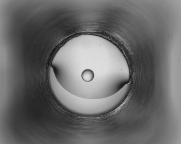 X0000096211449200802151452