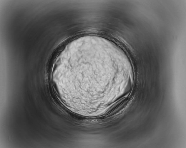 X0000096211450200802151452