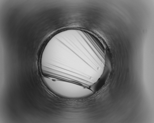 X0000096211452200802151452