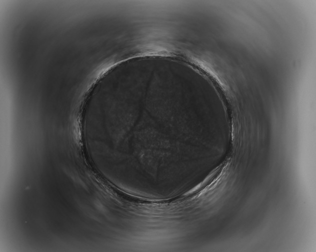 X0000096211455200802151452