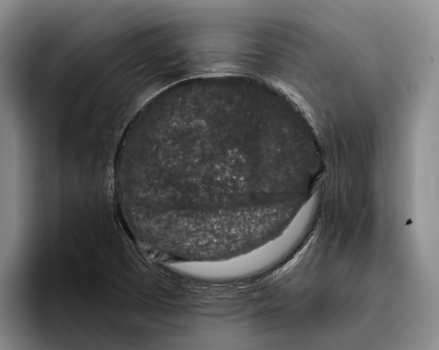 X0000096211457200802151452