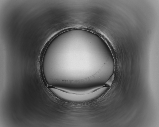 X0000096211460200802151452