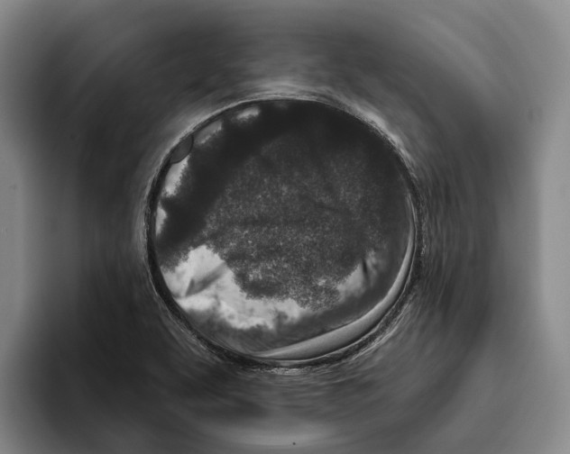 X0000096211463200802151452